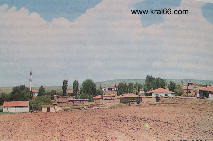 Akcakoyunlu