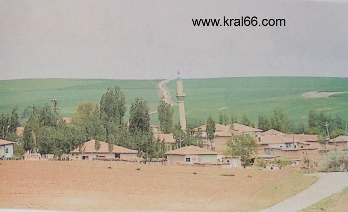 Akcami