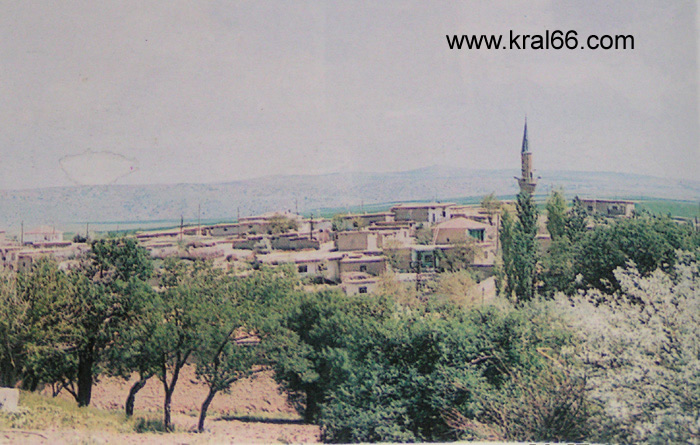 Alifakili