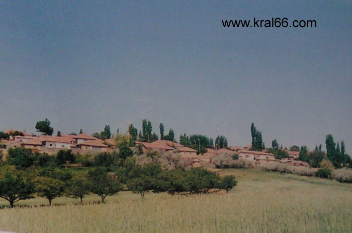 Bagyazi