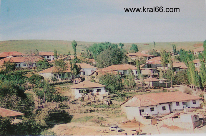 Erkekli