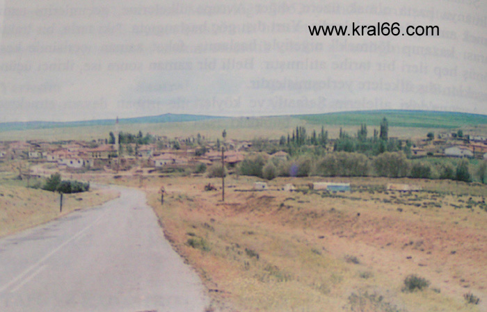 Hamzali
