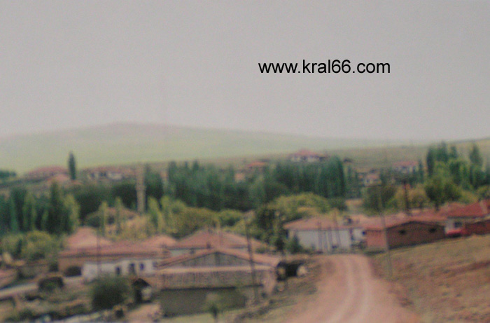 Kizilkoca
