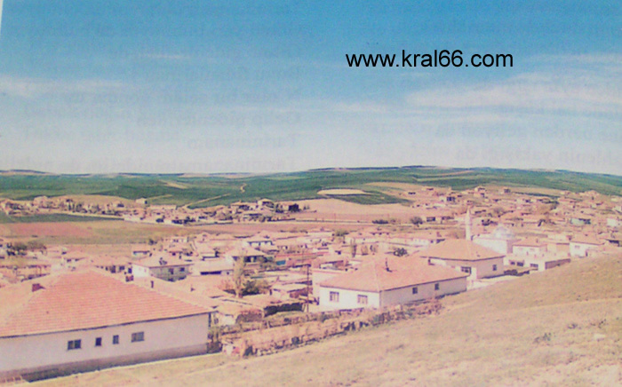 Kuzayca